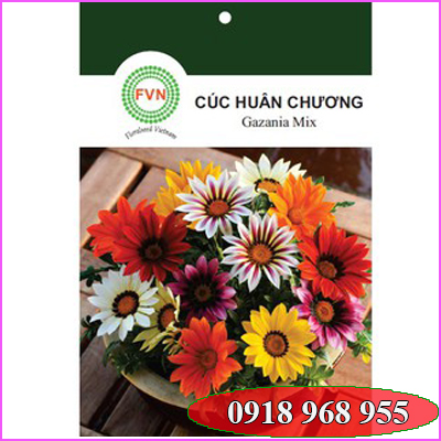 In tui hạt giống| congtyinbaobigiay.com